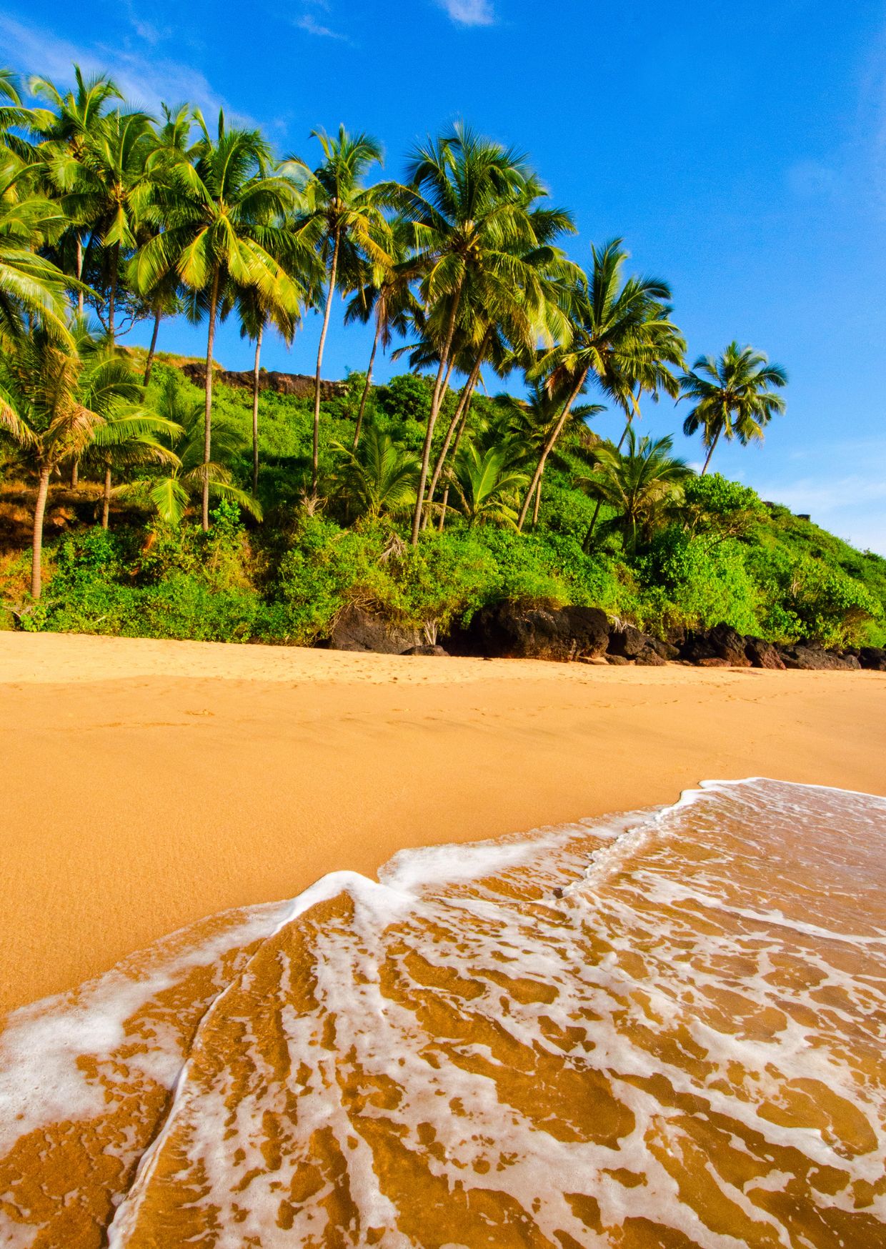 Goa tour packages